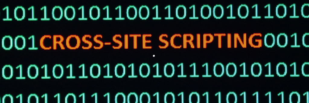 cross site scripting