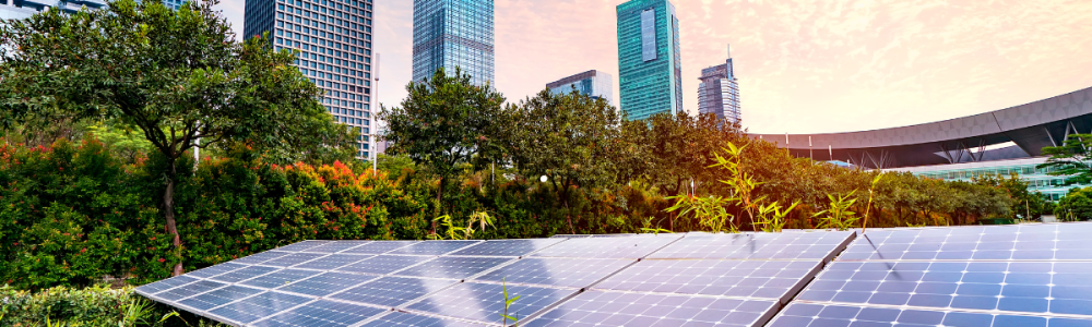 Ventajas de los Paneles Solares para Empresas